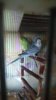 IMG-20180824-WA0000.jpeg