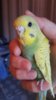 20180826_175234.jpg