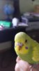 20180830_214316.jpg