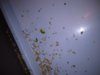 IMG_20180903_213000.jpg