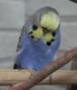 IMG_1464.JPG