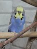 IMG_1461.JPG