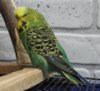 IMG_1601.JPG
