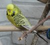 IMG_1569.JPG