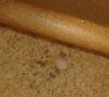 20180915_153816.jpg