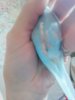 IMG_20180917_145902.jpg