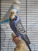 DSCN9449.JPG