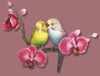 C__Data_Users_DefApps_AppData_INTERNETEXPLORER_Temp_Saved Images_396173101.gif