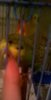 WP_20180925_010.jpg
