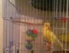 WP_20180925_028.jpg