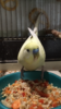 DB18F52E-F596-422B-9ABF-1E216C3C3754.png