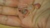 20180926_180531.jpg