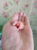 IMG_20180927_112048.jpg