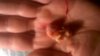 WP_20181004_001.jpg