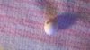WP_20181008_001.jpg