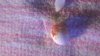 WP_20181008_002.jpg