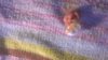WP_20181008_011.jpg