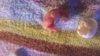 WP_20181008_013.jpg