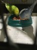 A15DE138-0025-492F-8333-03169C613DE0.jpeg