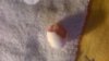 WP_20181010_003.jpg