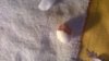WP_20181010_004.jpg