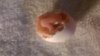 WP_20181010_007.jpg