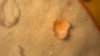 WP_20181010_011.jpg
