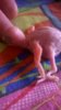 WP_20181011_001.jpg