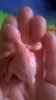 WP_20181011_003.jpg