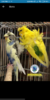 Screenshot_2018-10-11-14-41-10-710_com.torg.torg.png