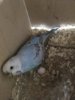 E05555AE-0C6B-4E6F-87EB-9C82663ABF16.jpeg