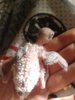 20181017_103246.jpg