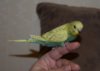 DSC_6650.JPG