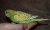 DSC_6642.JPG