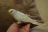 DSC_6665.JPG