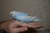 DSC_6671.JPG