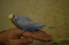 DSC_6675.JPG