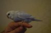 DSC_6679.JPG