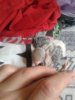 20181018_133430.jpg