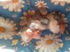 20181019_091631.jpg