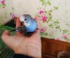 IMG_20181021_144751.jpg