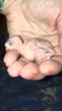 020AC6DF-12B9-4C56-9EDE-DED2E5544E3A.png