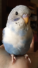 0AA3123A-EBD9-4436-BDA5-3E8E5195D6C8.png