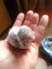 20181022_142615.jpg