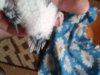 20181022_142950.jpg
