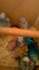 WP_20181023_032.jpg
