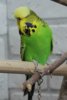 IMG_2264.JPG