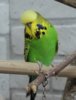 IMG_2265.JPG