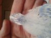 20181024_133359.jpg