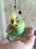 IMG-20181018-WA0046.jpg